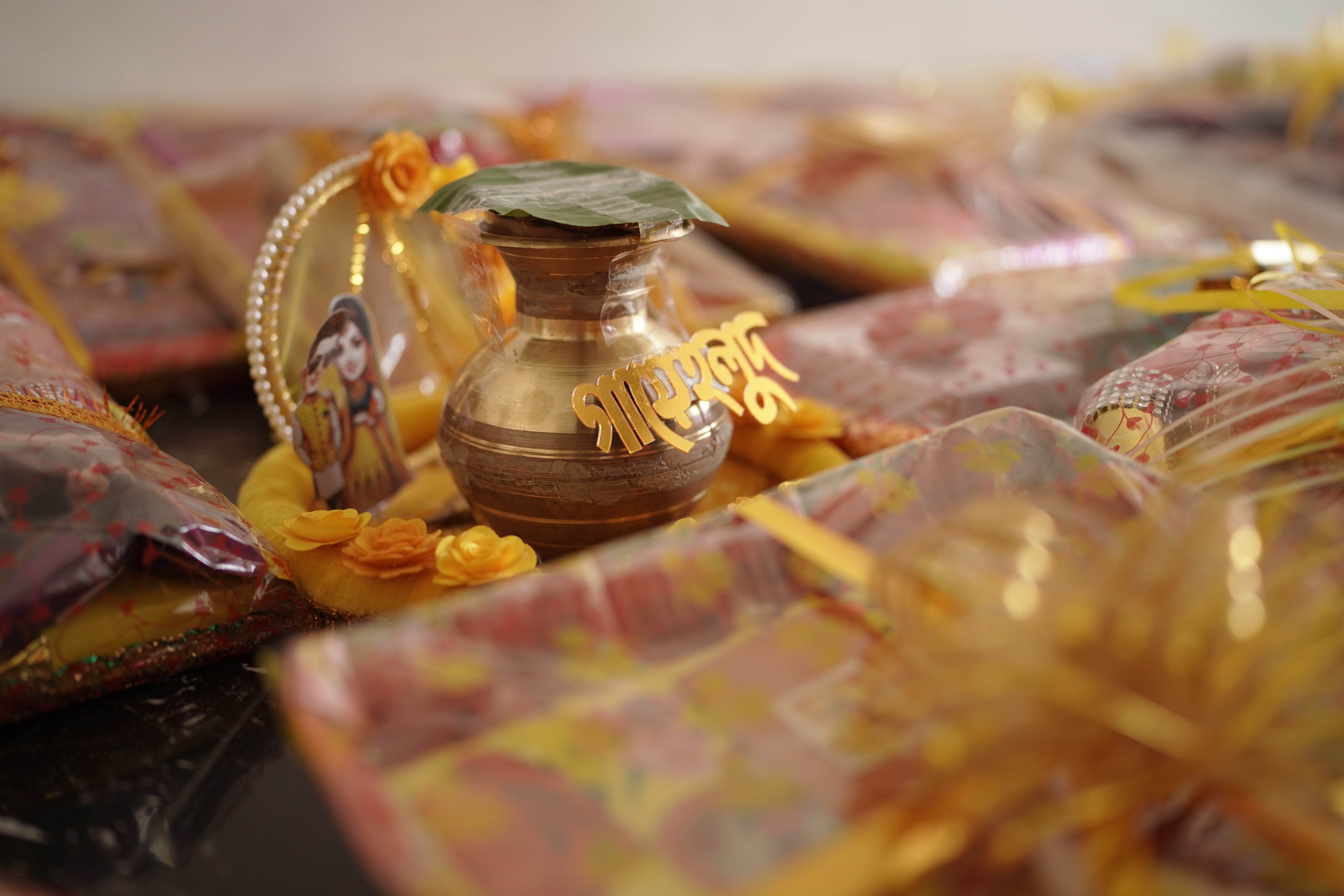 Haldi photo — AKA03919.JPG