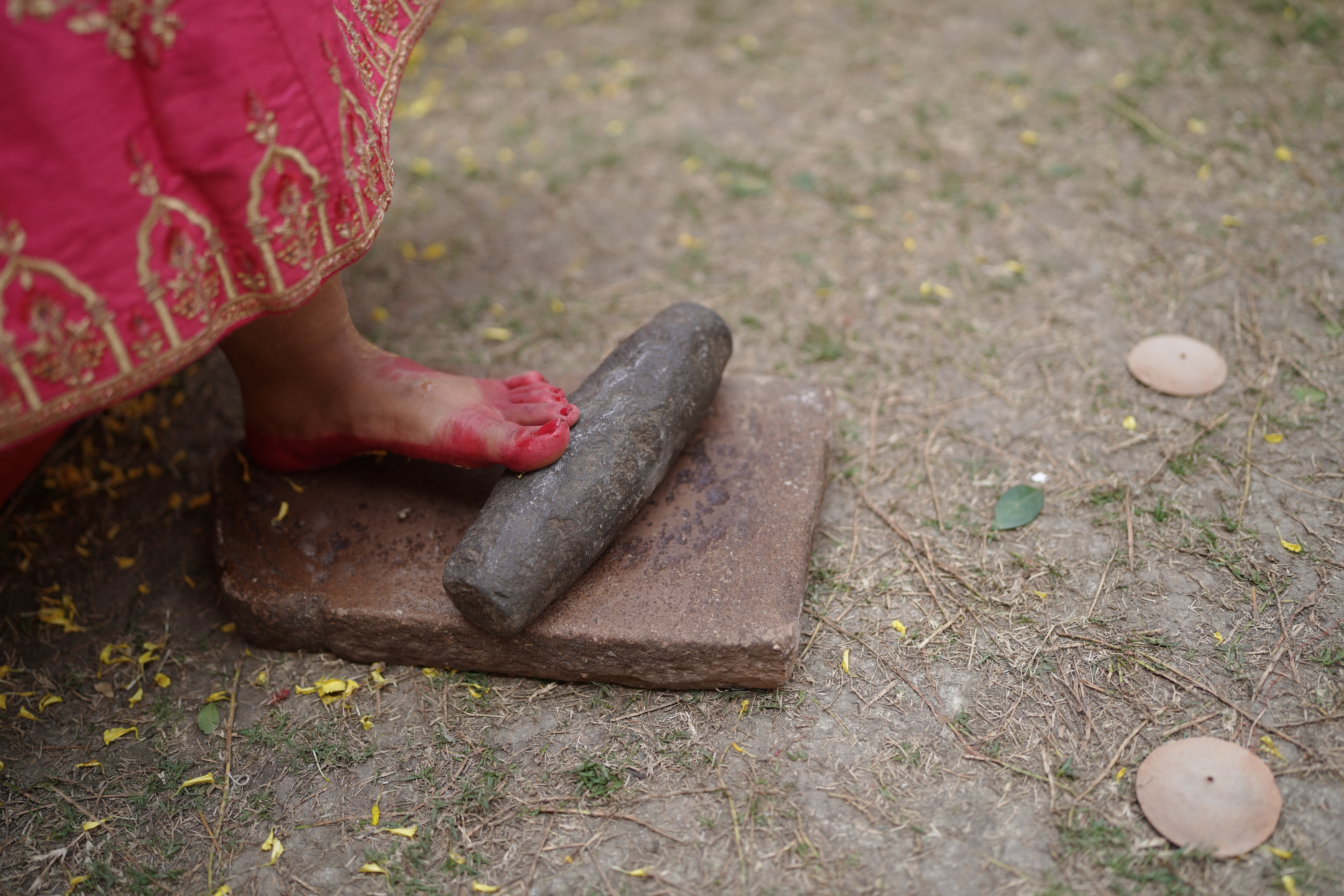 Haldi photo — AKA04142.JPG